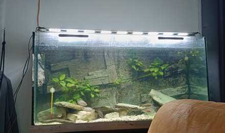 aquarium Le savoyard