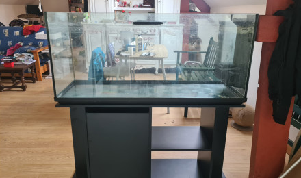 aquarium Tanganyika