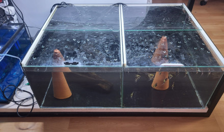 aquarium batterie 2