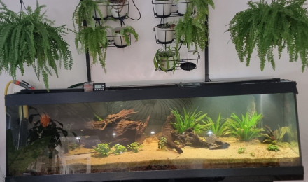 aquarium BAC 500L