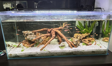 aquarium Mon bac de 98L