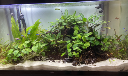 aquarium Aquarium 400L