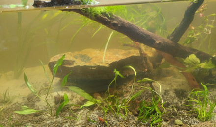 aquarium Lowtec essai