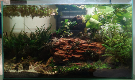aquarium Riparium