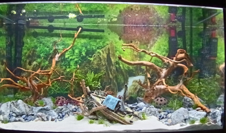 aquarium Aqua-Asia