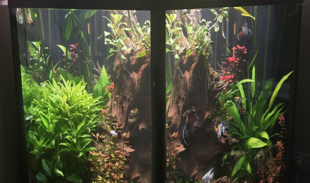 aquarium Cube 600 L
