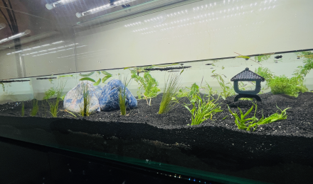 aquarium 400 litres