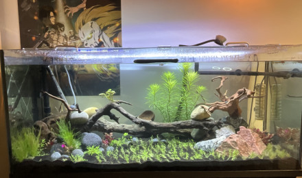aquarium Aquarium 2