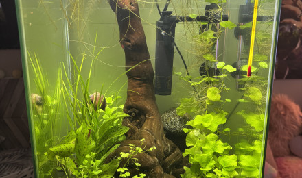 aquarium Tank Truffy 45L Rio