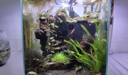 aquarium Nano 30