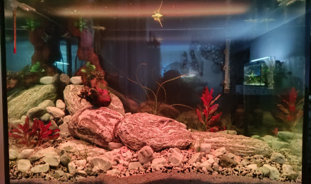 aquarium La rivière