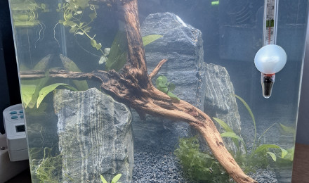 aquarium Futur crevettodrome