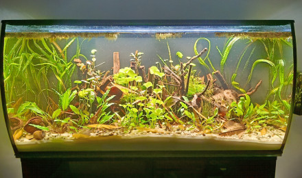 aquarium Fluval flex 123l