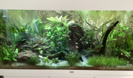 aquarium Rio 180