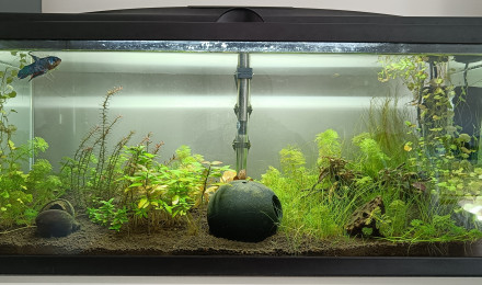 aquarium 70 litres