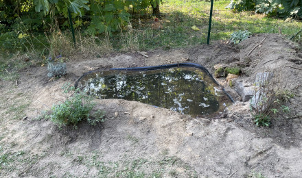 aquarium Mare naturelle