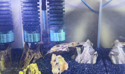 aquarium Futur 30l
