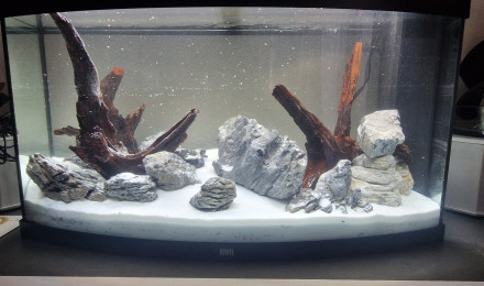 aquarium Vision 180