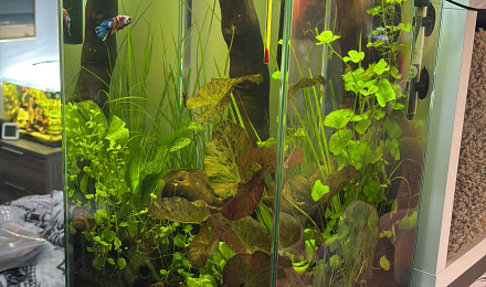 aquarium Tank Truffy 45L Rio