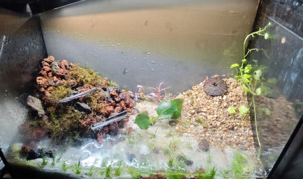 aquarium Aqua 2 test