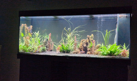 aquarium Juwel rio 450