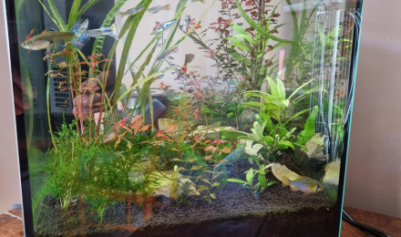 aquarium Superfish Qubiq 30