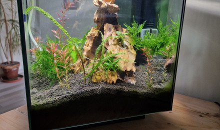 aquarium Superfish Qubiq 30