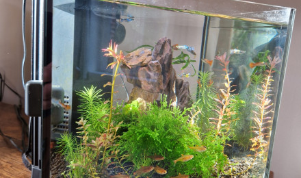 aquarium Superfish Qubiq 15