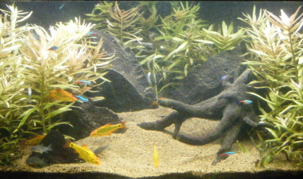 aquarium Pans de Travassac