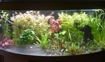 aquarium Juwel vision 450 l