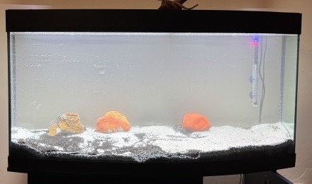 aquarium Juwel 260 Vision