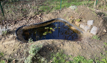 aquarium Mare naturelle