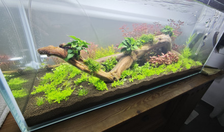 aquarium Centsoixante