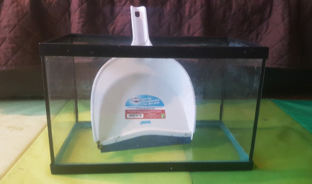 aquarium 20L à l arrêt