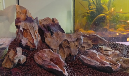 aquarium Pierre du Dragon