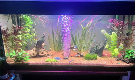 aquarium Premier 180l