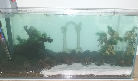 aquarium Le Monde de Bloups