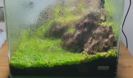 aquarium nano 30l hardscape