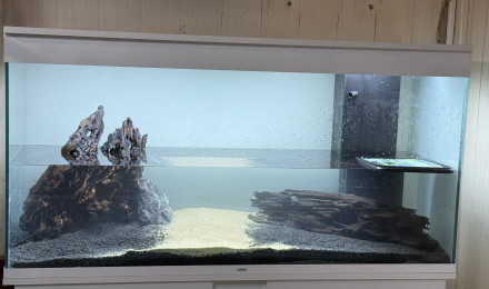 aquarium Ciano Pro 120