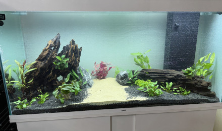 aquarium Ciano Pro 120