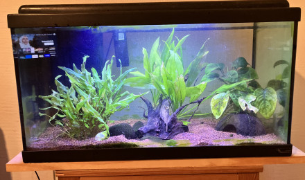 aquarium 60L Led