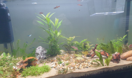 aquarium 90L