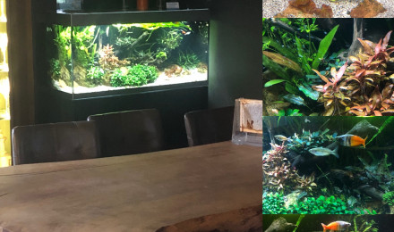 aquarium Highline 300 - le dArville