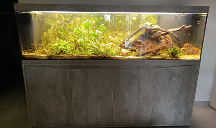 aquarium Aquarium 500L