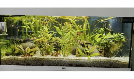 aquarium Juwel Rio 180
