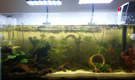 aquarium Le Monde de Bloups