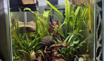 aquarium Aquatlantis 31 Automne