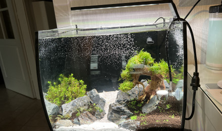 aquarium 30L