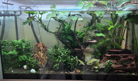 aquarium Aquatlantis