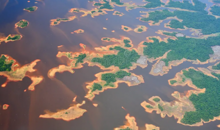 aquarium Biotope Orénoque